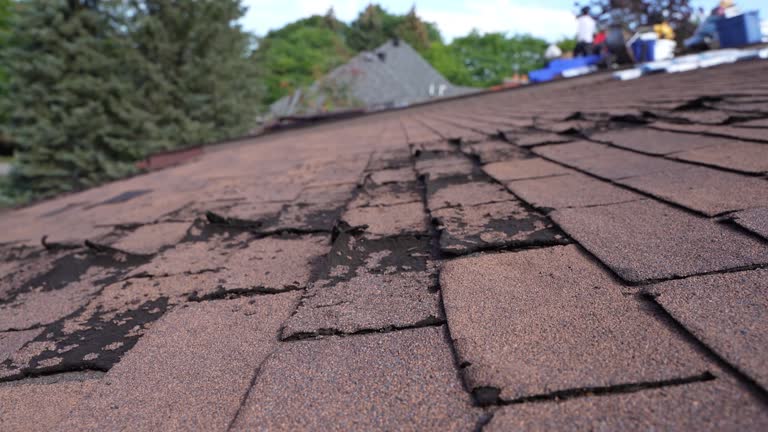Professional Roofing in Brownville, NJ